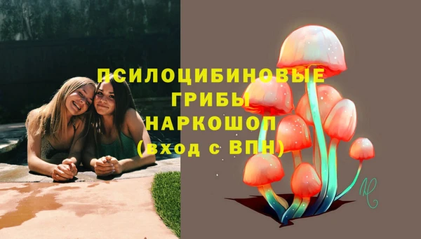 2c-b Абаза
