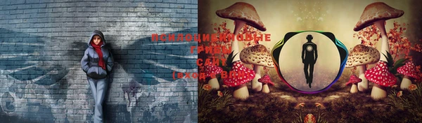 прущие крисы Абдулино