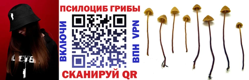 Галлюциногенные грибы прущие грибы  блэк спрут ССЫЛКА  Кандалакша 