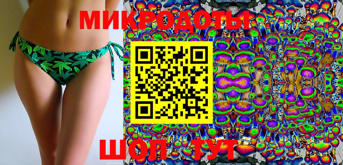 Галлюциногенные грибы Psilocybe  Вход с VPN  Кандалакша 