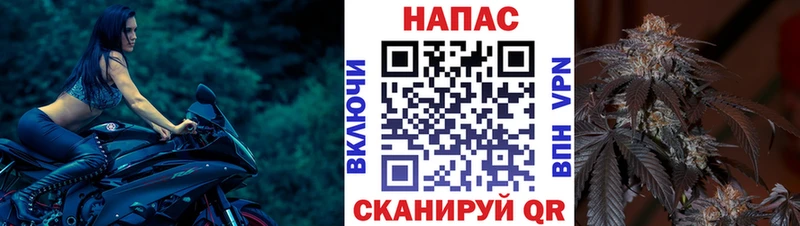 Канабис план  Кандалакша 